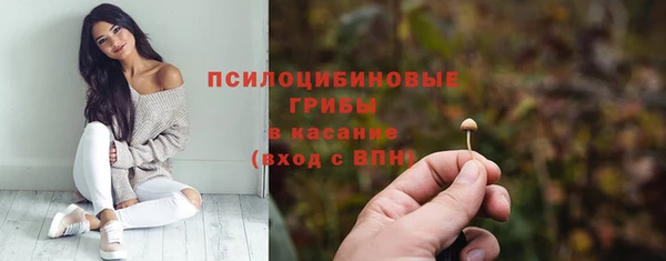 трава Беломорск