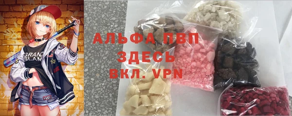 трава Белокуриха