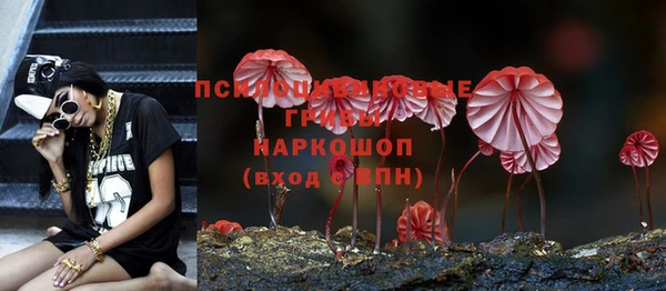 трава Беломорск