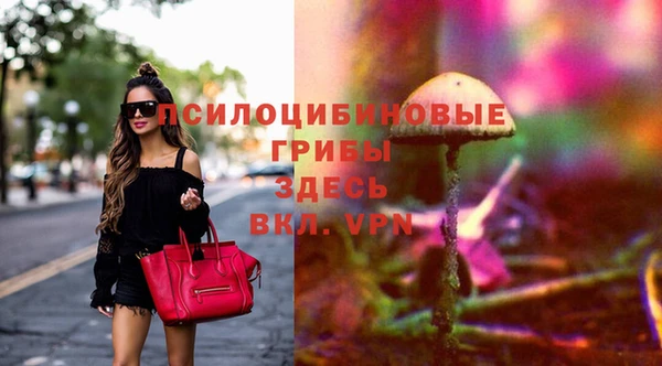 трава Беломорск